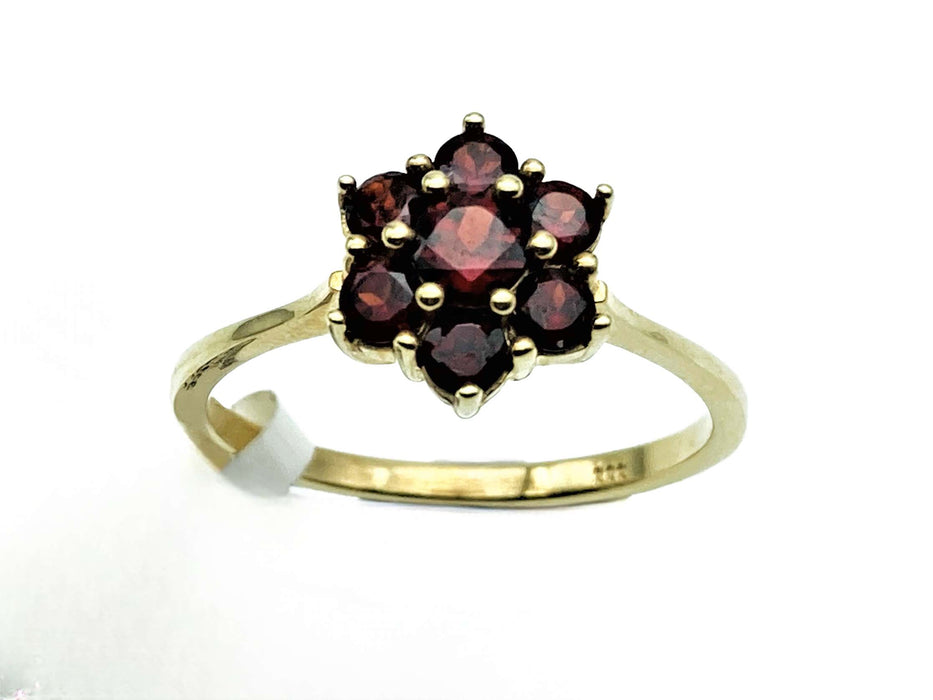 Klassischer Ring mit Granat | Gold